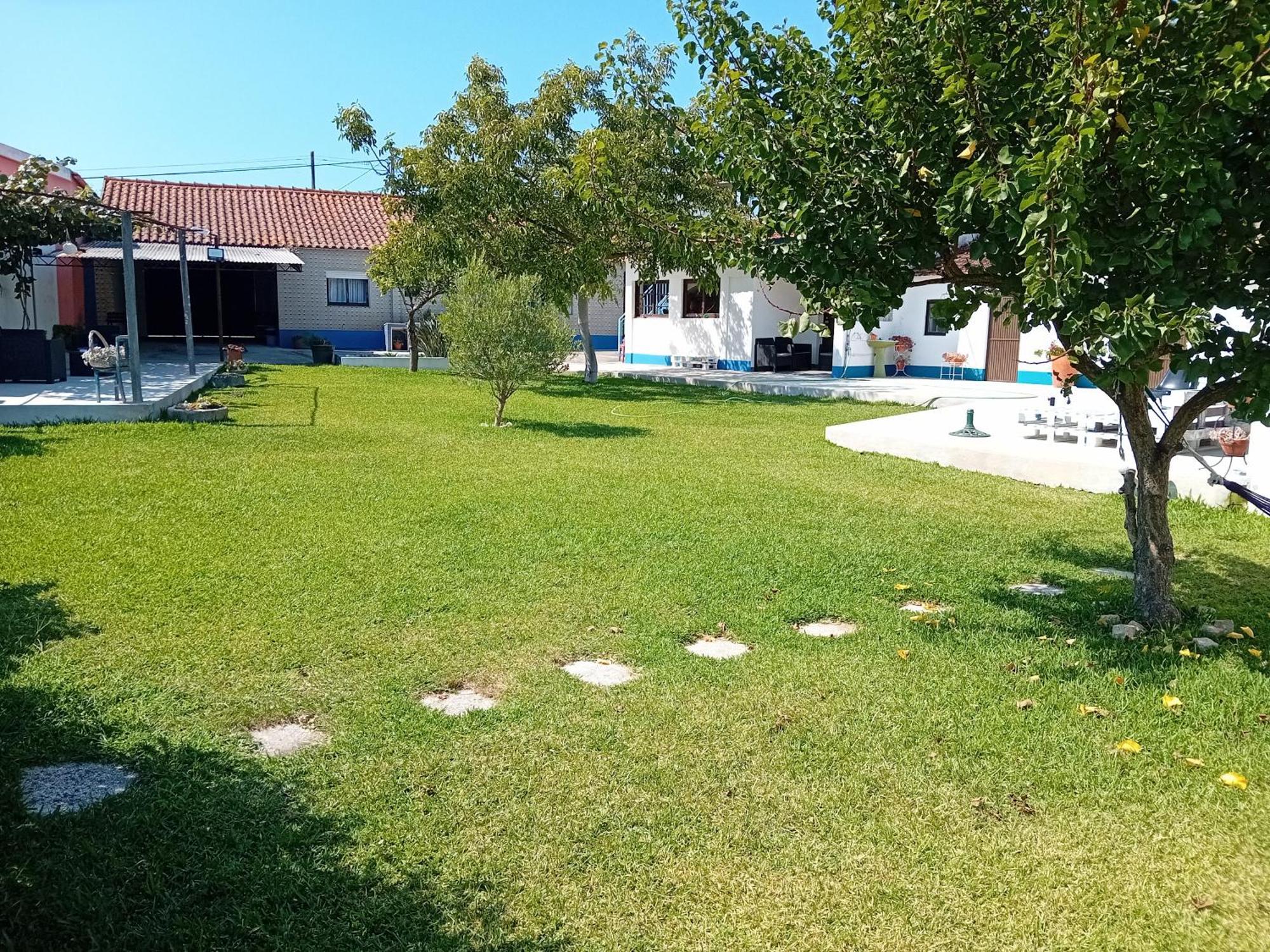 Casa Dos Avos Veras Aveiro Extérieur photo